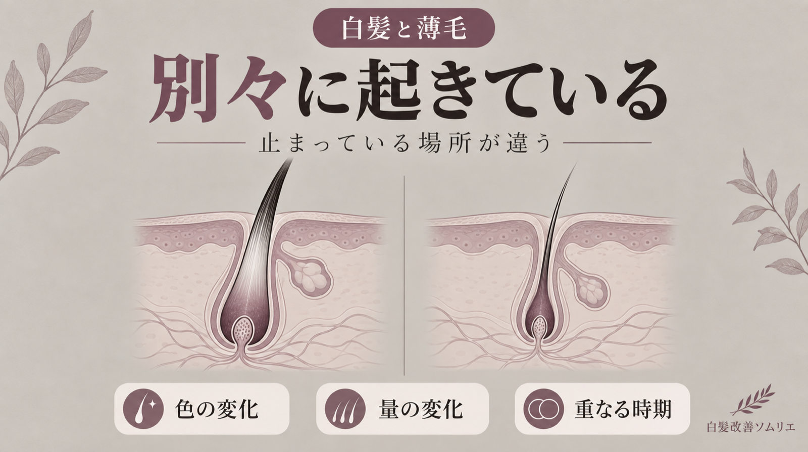 白髪と薄毛。別々の変化が、同じ時期に重なる